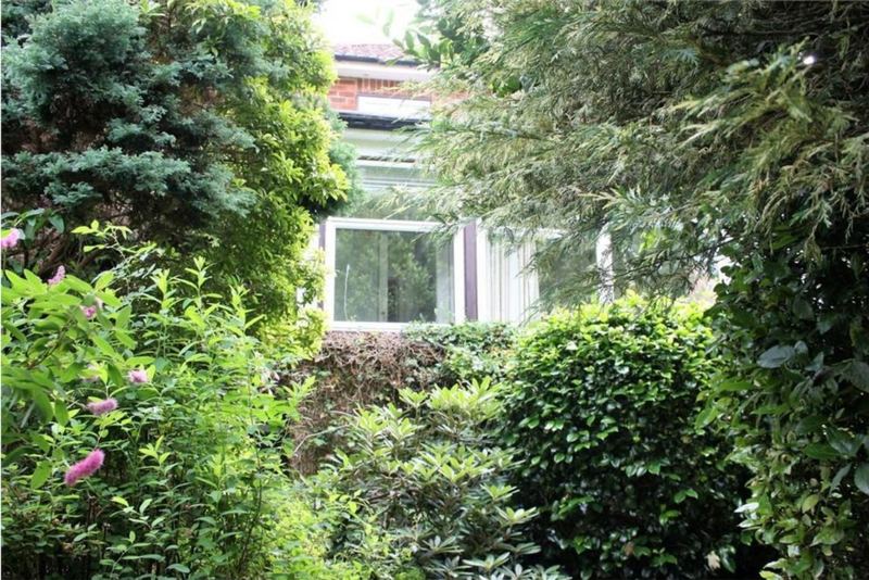 The conservatory window